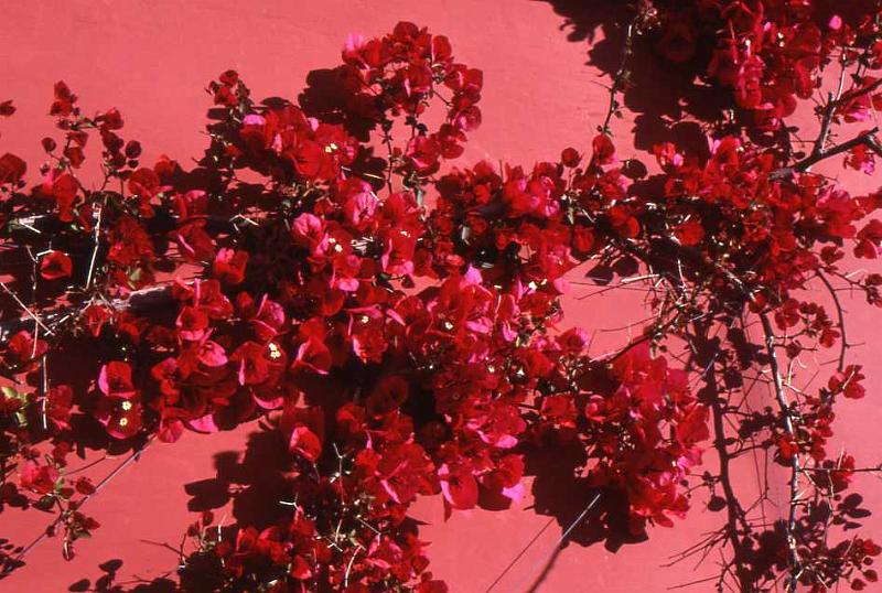 33 -  Colori, 1997.jpg